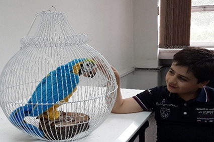 A Parro-Robot for Autism Screening and Rehabilitation