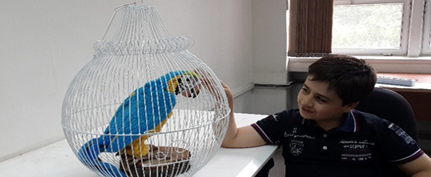 A Parro-Robot for Autism Screening and Rehabilitation